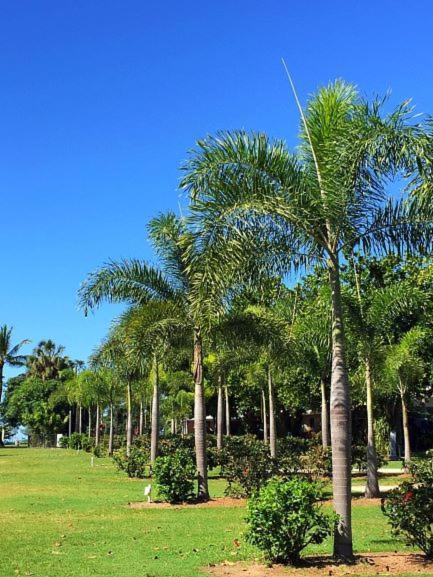 Dunk Island View Caravan Park Wongaling Beach Exterior foto